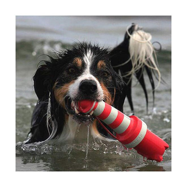Rogz Lighthouse Fetch Water Toy