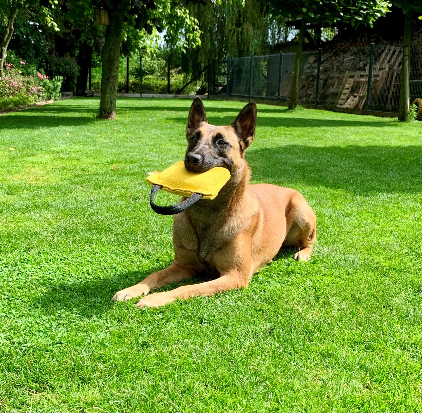 Euro Joe Just Play Bite Cushion
