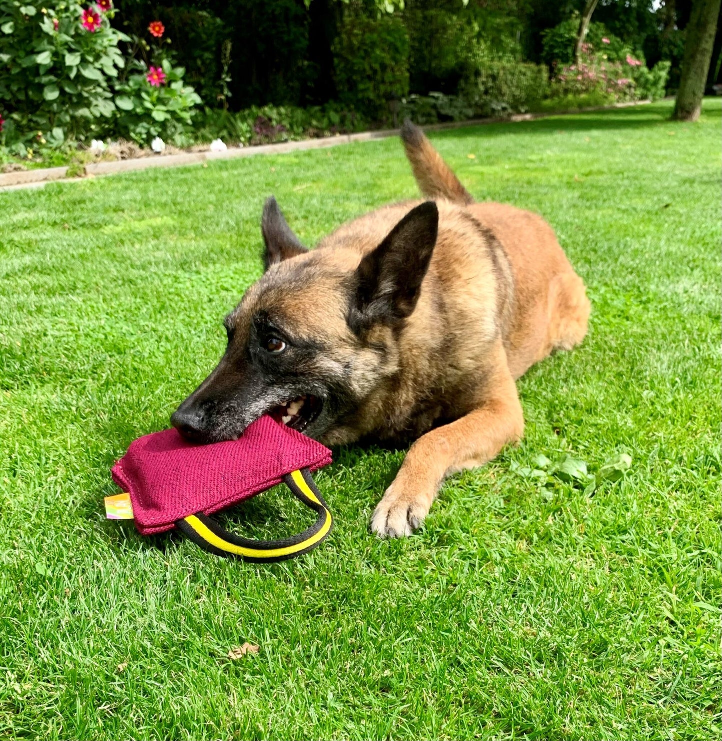 Euro Joe Just Play Bite Cushion