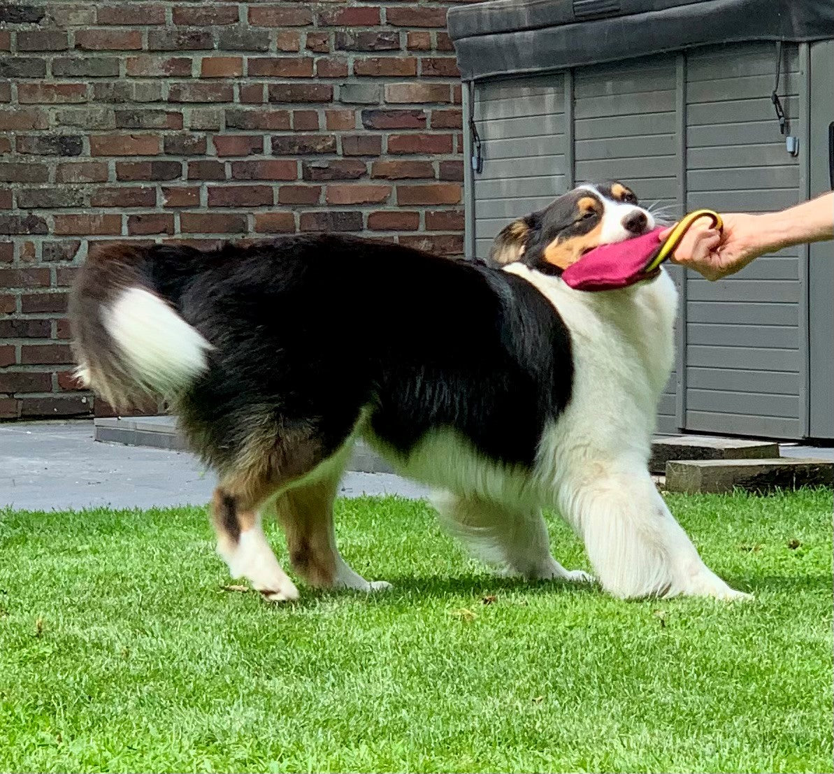Euro Joe Just Play Bite Cushion