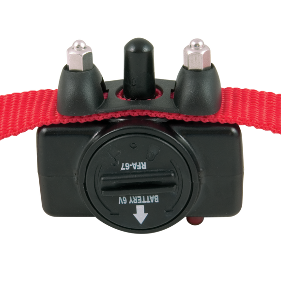 PetSafe Basic Bark Control Collar
