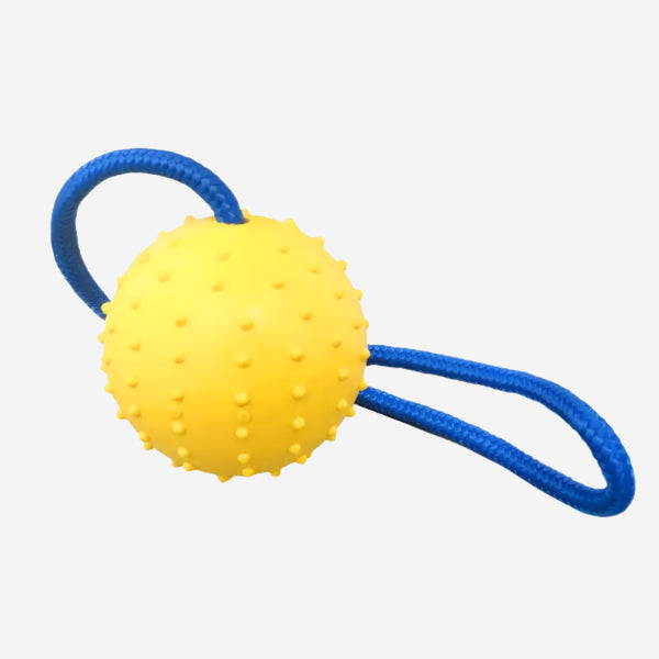 Interactive Tug & Fetch Ball