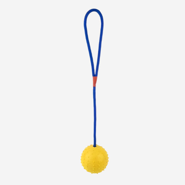 Interactive Tug & Fetch Ball