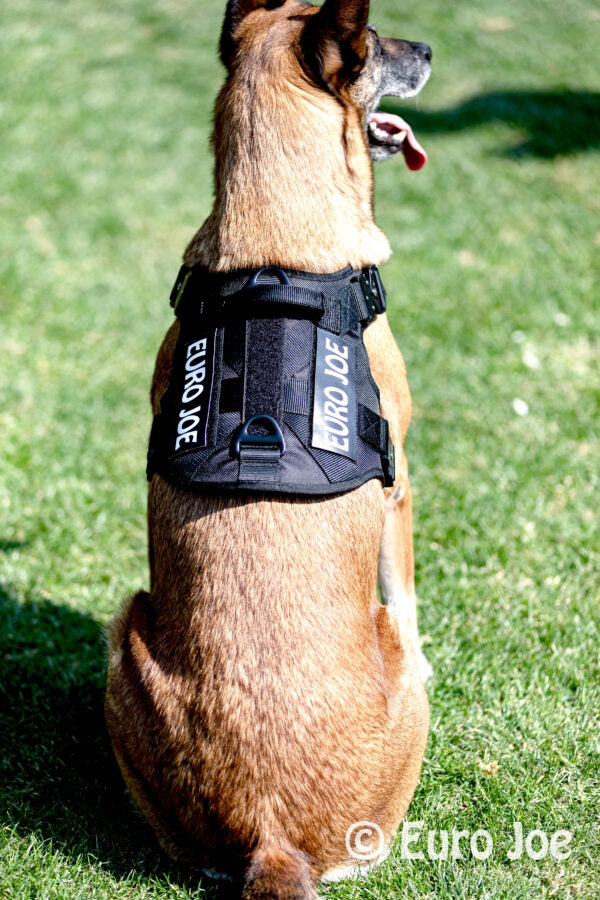 Euro Joe Tactical Harness