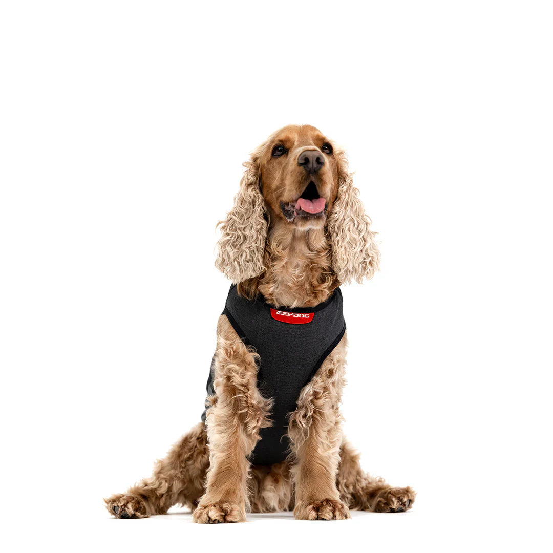 Winter Dog Coats & Vests