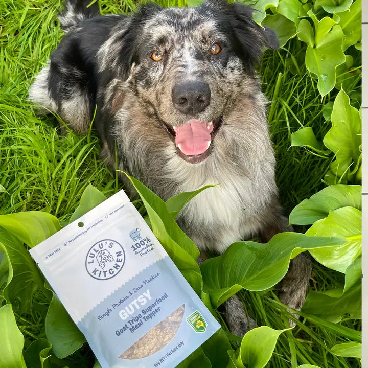 HEALTHCARE - SUPPLEMENTS & TREATS