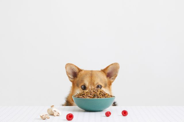 BOWLS