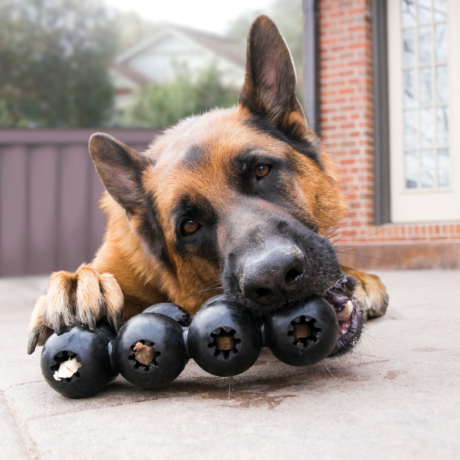 TOYS - TOUGH