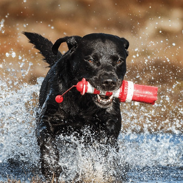 ADULT DOG RANGE