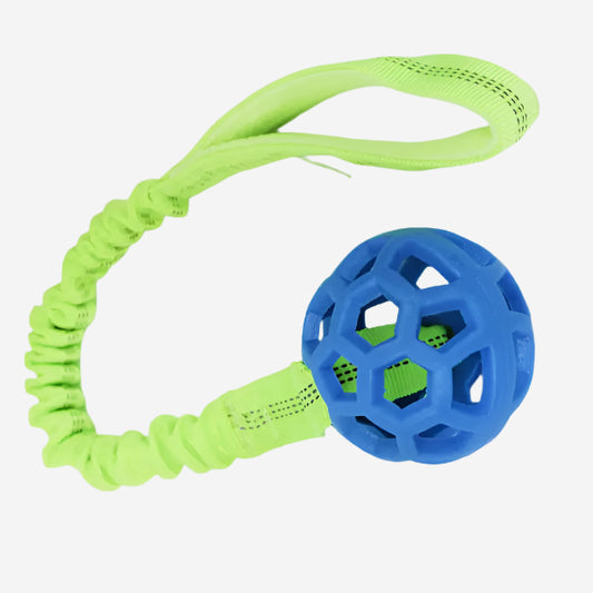 HoleyTugger Ball with Bungee