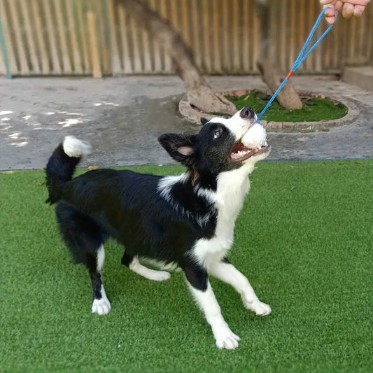 Interactive Tug & Fetch Ball