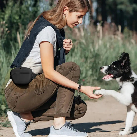 Silicone Dog Treat Pouch