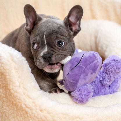 KONG Cozie Rhino