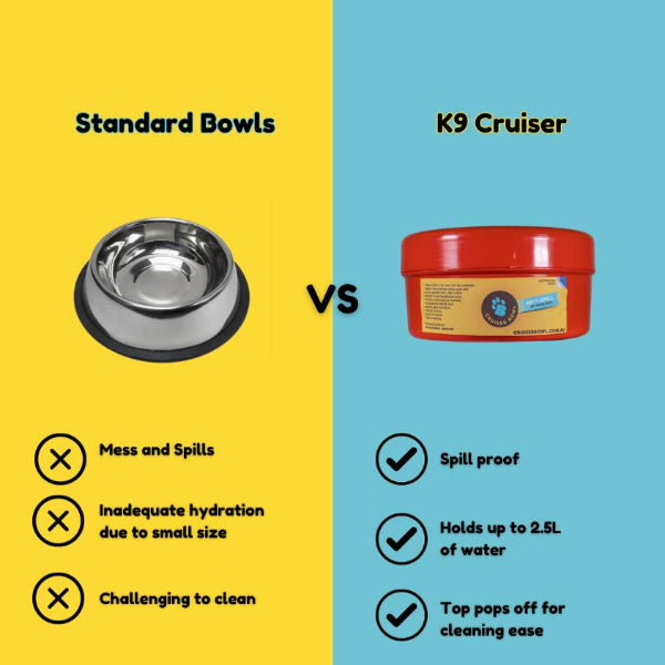 K9 Corner Cruiser Bowl