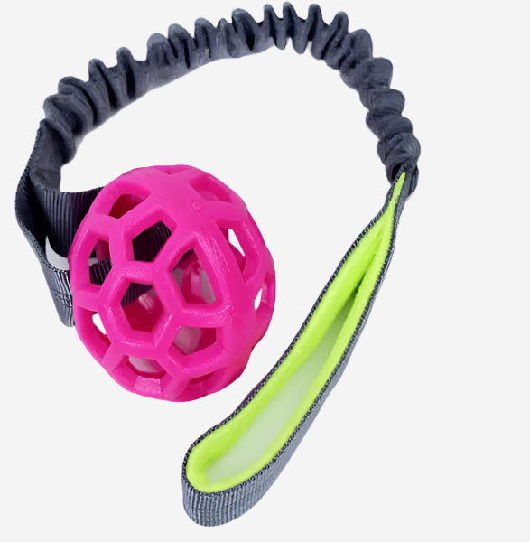 HoleyTugger Ball with Bungee
