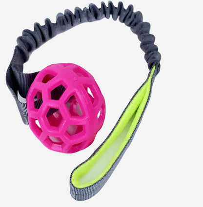 HoleyTugger Ball with Bungee