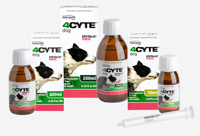 4CYTE Epiitalis Forte Dog Gel