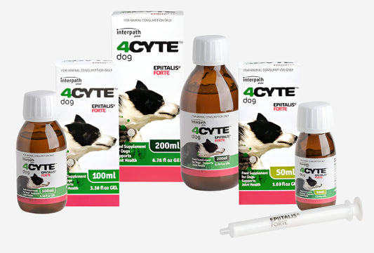 4CYTE Epiitalis Forte Dog Gel