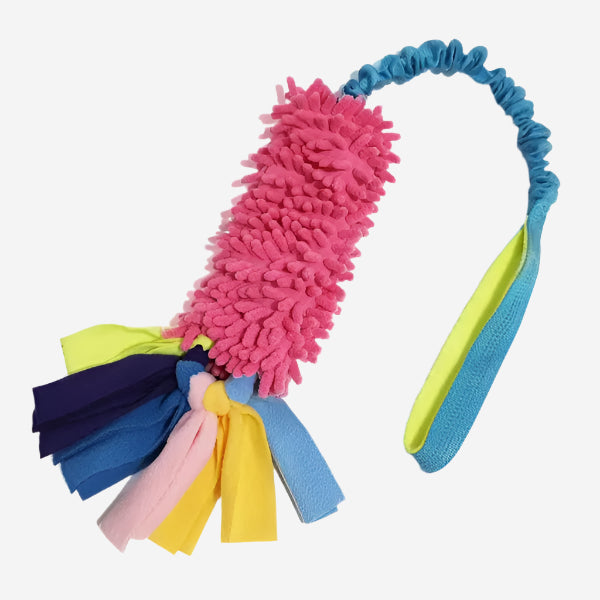 Pro Pup Chaser with Bungee Handle