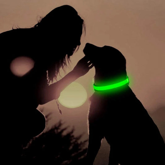 Night Safety Collar for Small, Medium & Large Dogs
