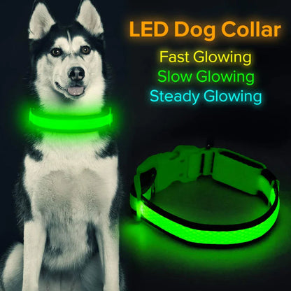 Night Safety Collar for Small, Medium & Large Dogs