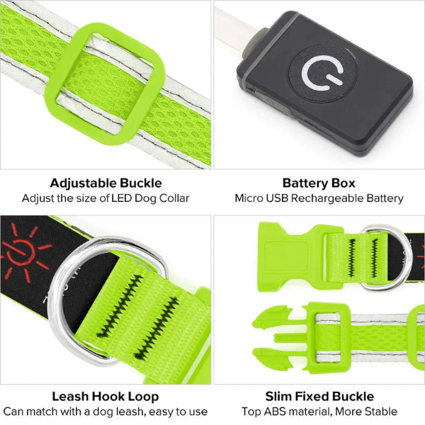 Night Safety Collar for Small, Medium & Large Dogs
