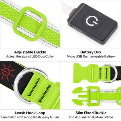 Night Safety Collar for Small, Medium & Large Dogs