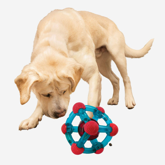 KONG Rewards Tinker - Treat Dispensing Puzzle Toy