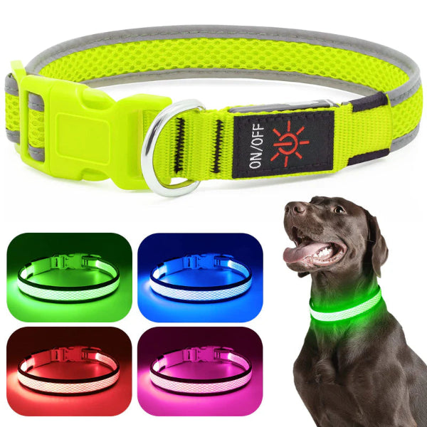 Night Safety Collar for Small, Medium & Large Dogs