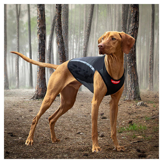 EzyDOG Thermax Vest