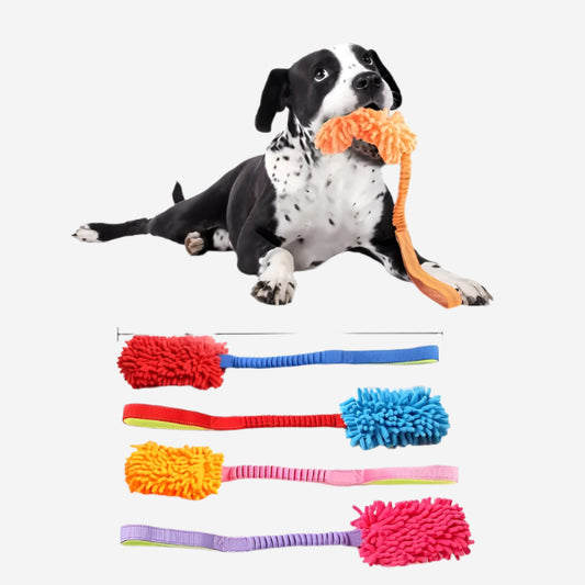 Puppy Tug & Chase with Bungee Handle