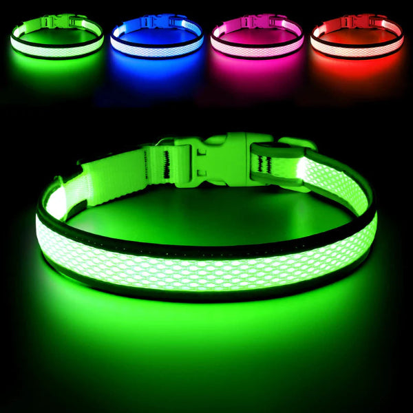 Night Safety Collar for Small, Medium & Large Dogs