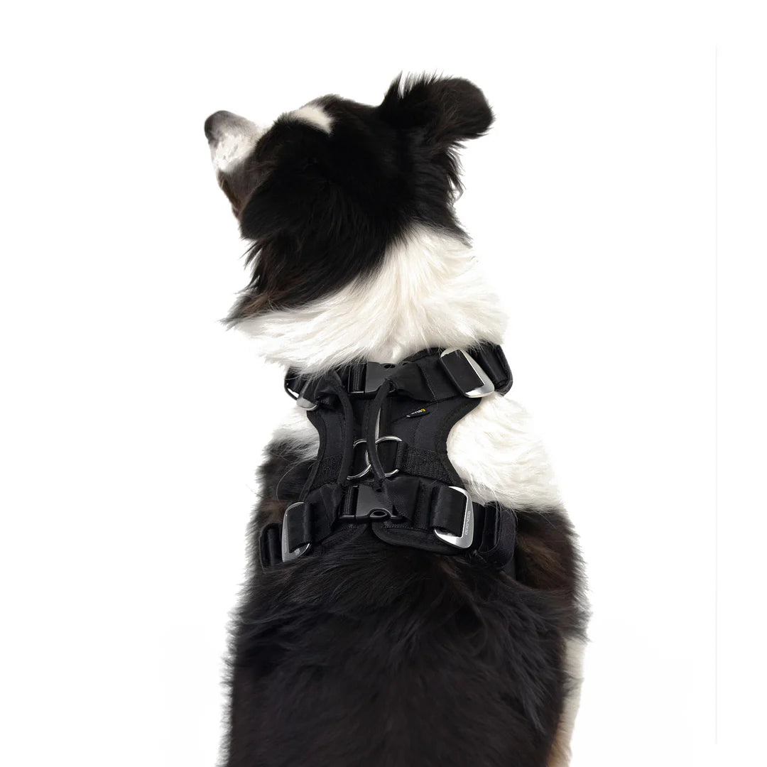 Drive Dog Car Harness From EzyDog