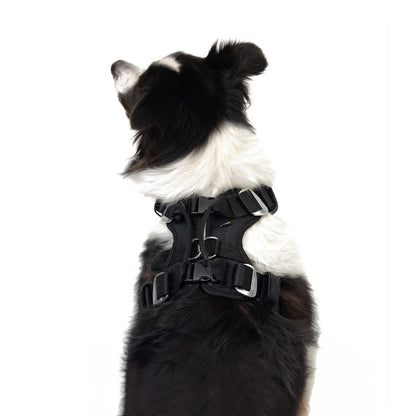 Drive Dog Car Harness From EzyDog