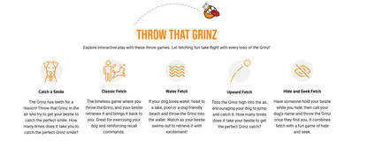 Rogz Grinz Fetch Ball