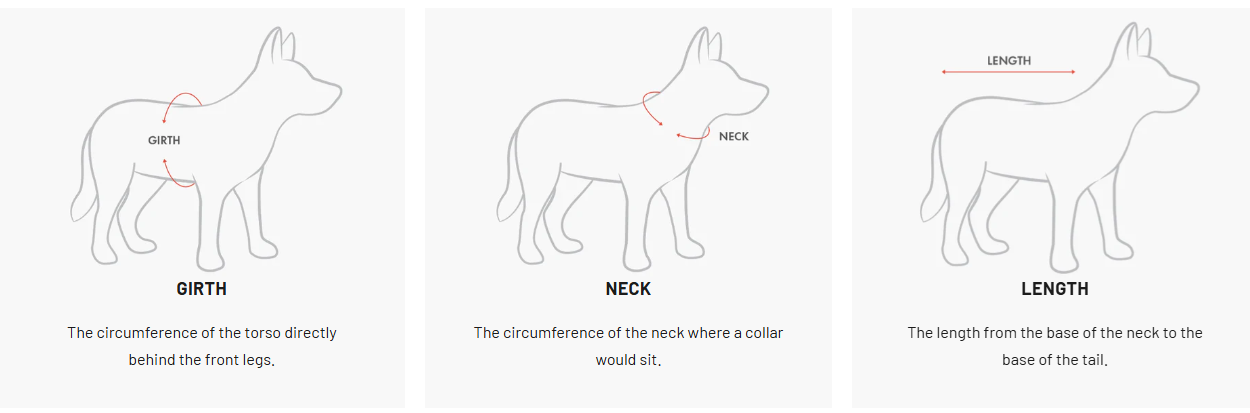 EzyDOG Thermax Vest