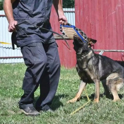 Bite Cushion with Three Handles