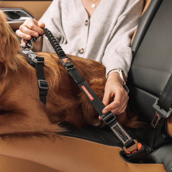 Click Zero Shock Seatbelt Attachment