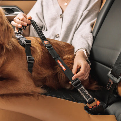 Click Zero Shock Seatbelt Attachment