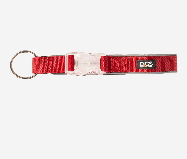 DGS Comet LED Dog Collar