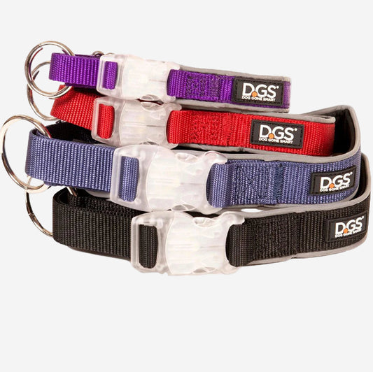 DGS Comet LED Dog Collar