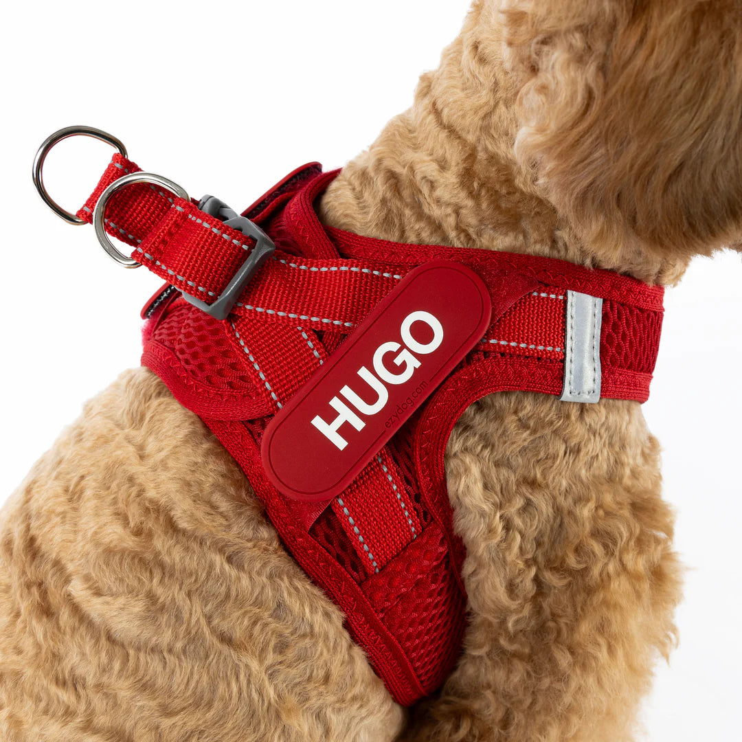 FORMFIT Mesh Harness – Perfect for Small Dogs