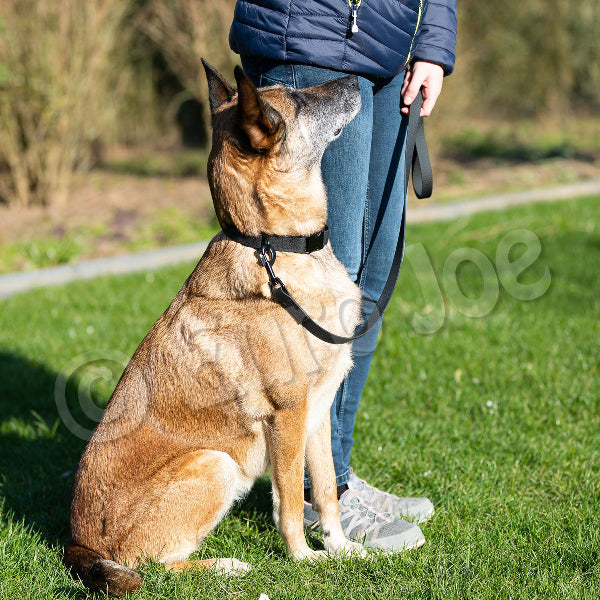 Sporty Leashes
