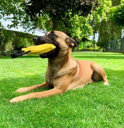 Euro Joe Just Play Bite Cushion