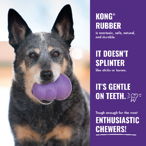 KONG Senior