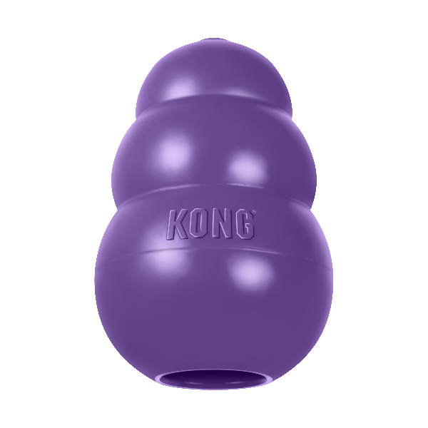KONG Senior