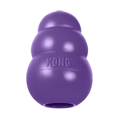 KONG Senior