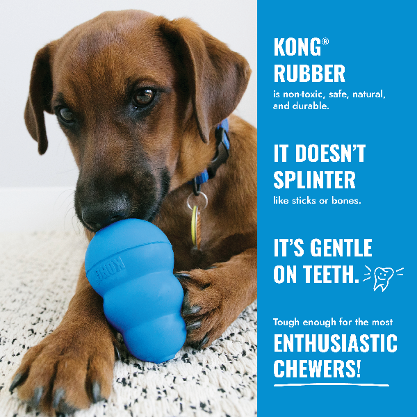 KONG PUPPY