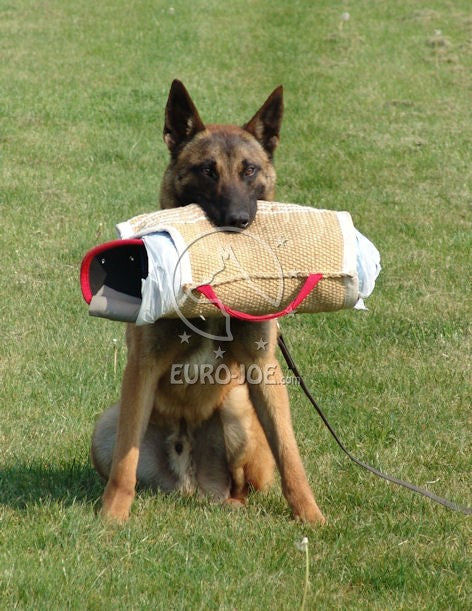 Euro Joe Max Short Bite Sleeve
