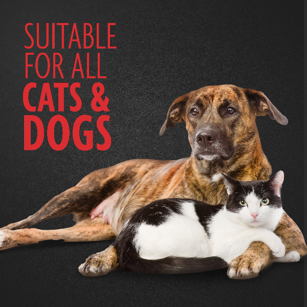 FURminator Replacement Grinding Bands (6-Pack, 120 Grit)